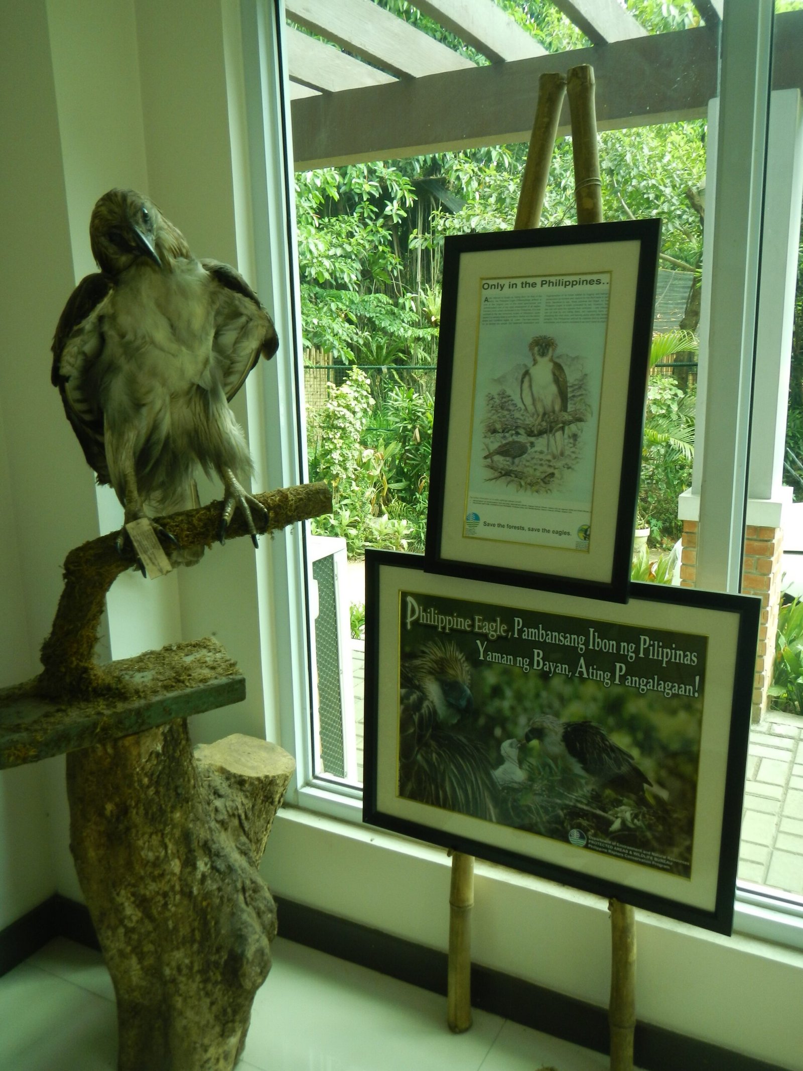 Engaging Communities in Wildlife Monitoring (image credits: wikimedia)