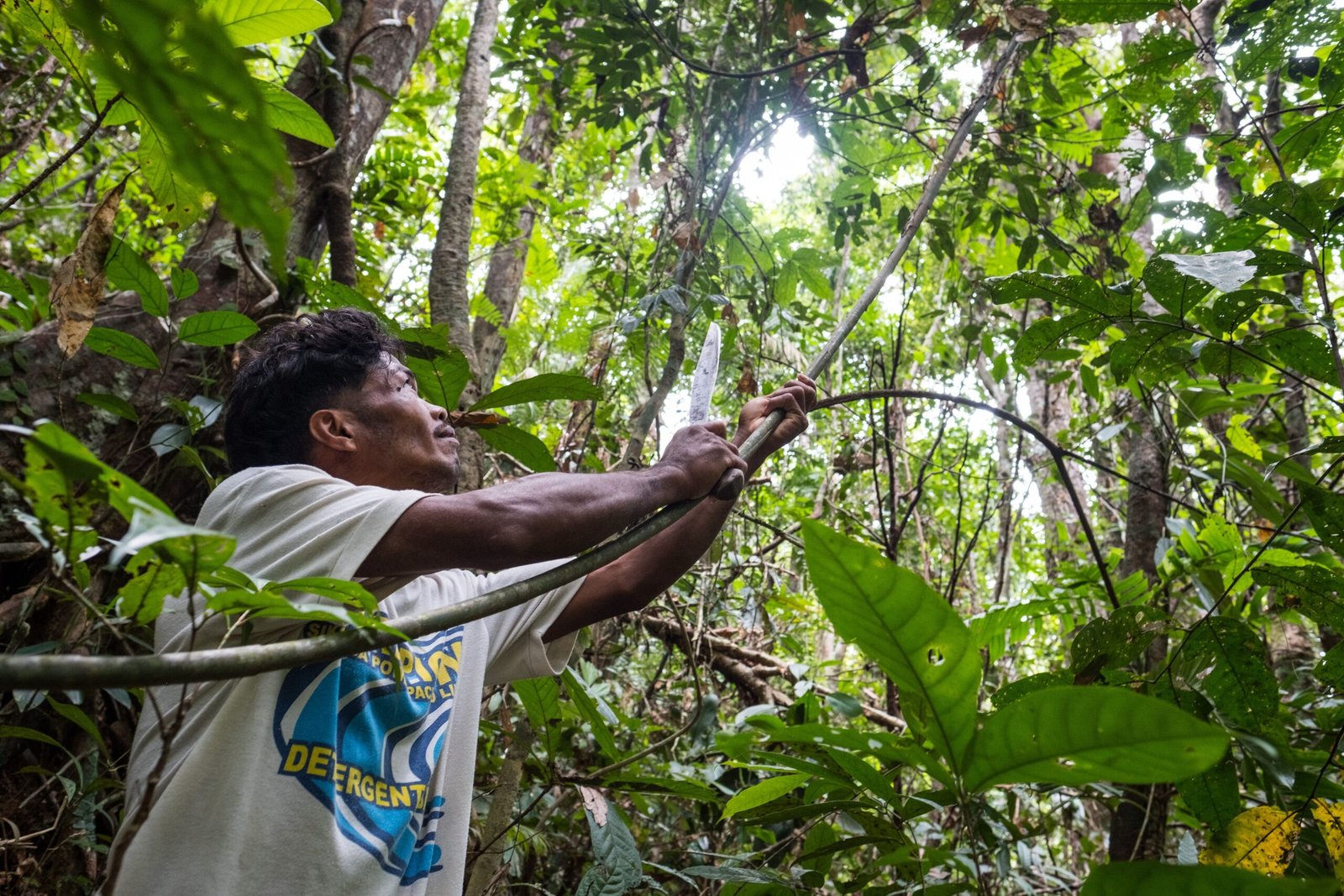 Challenges and Opportunities in Citizen Science (image credits: wikimedia)