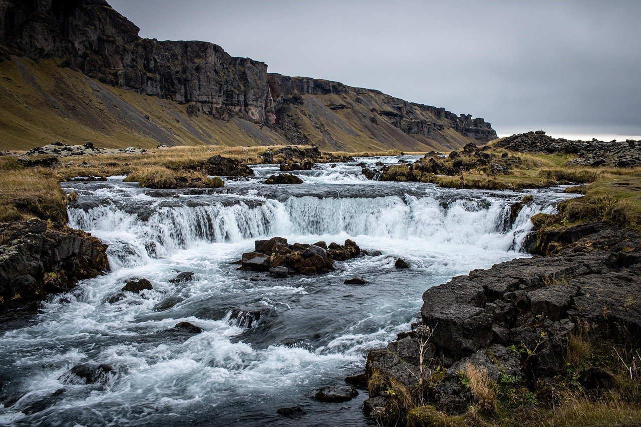 Challenges and Opportunities in the Movement (image credits: pixabay)