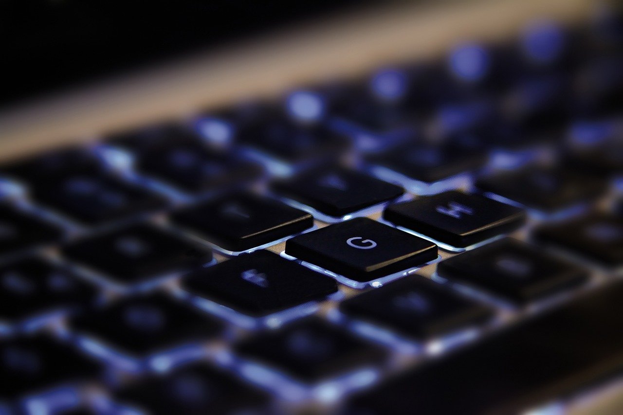 The Role of Technology in Conservation (image credits: pixabay)