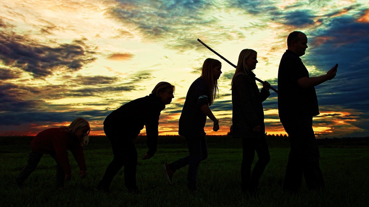 Cultural Evolution and Social Structures (image credits: pixabay)
