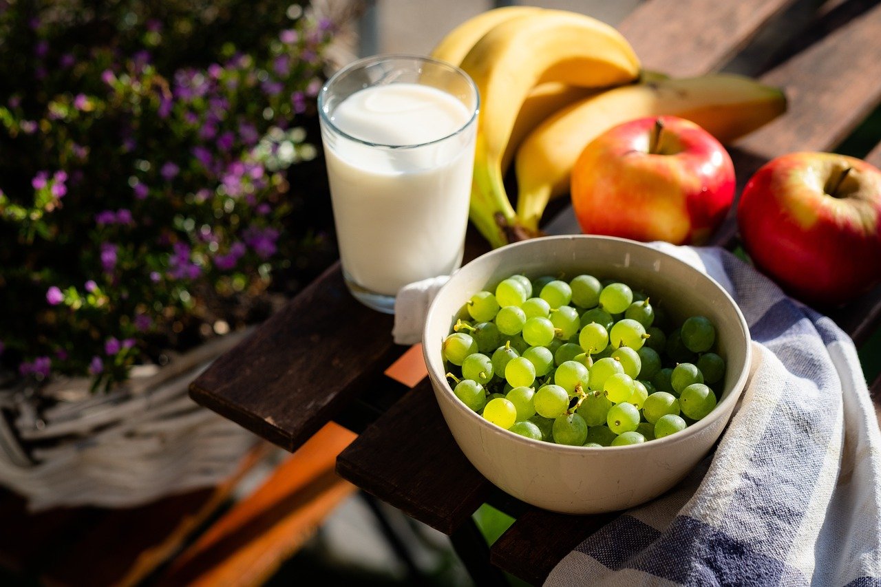 Adaptation to New Diets and Lifestyles (image credits: pixabay)