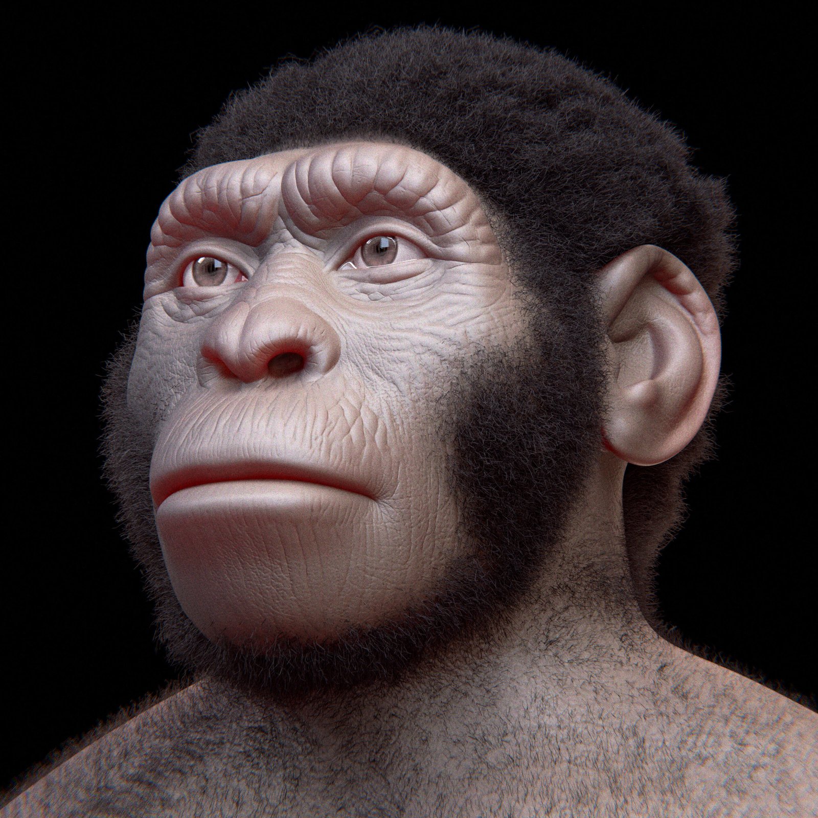 Rewriting History with Homo Naledi (image credits: wikimedia)