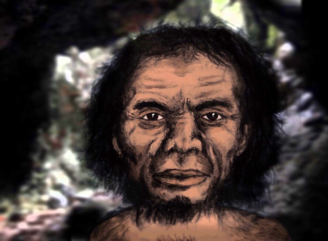 The Surprising Story of Homo Luzonensis (image credits: wikimedia)