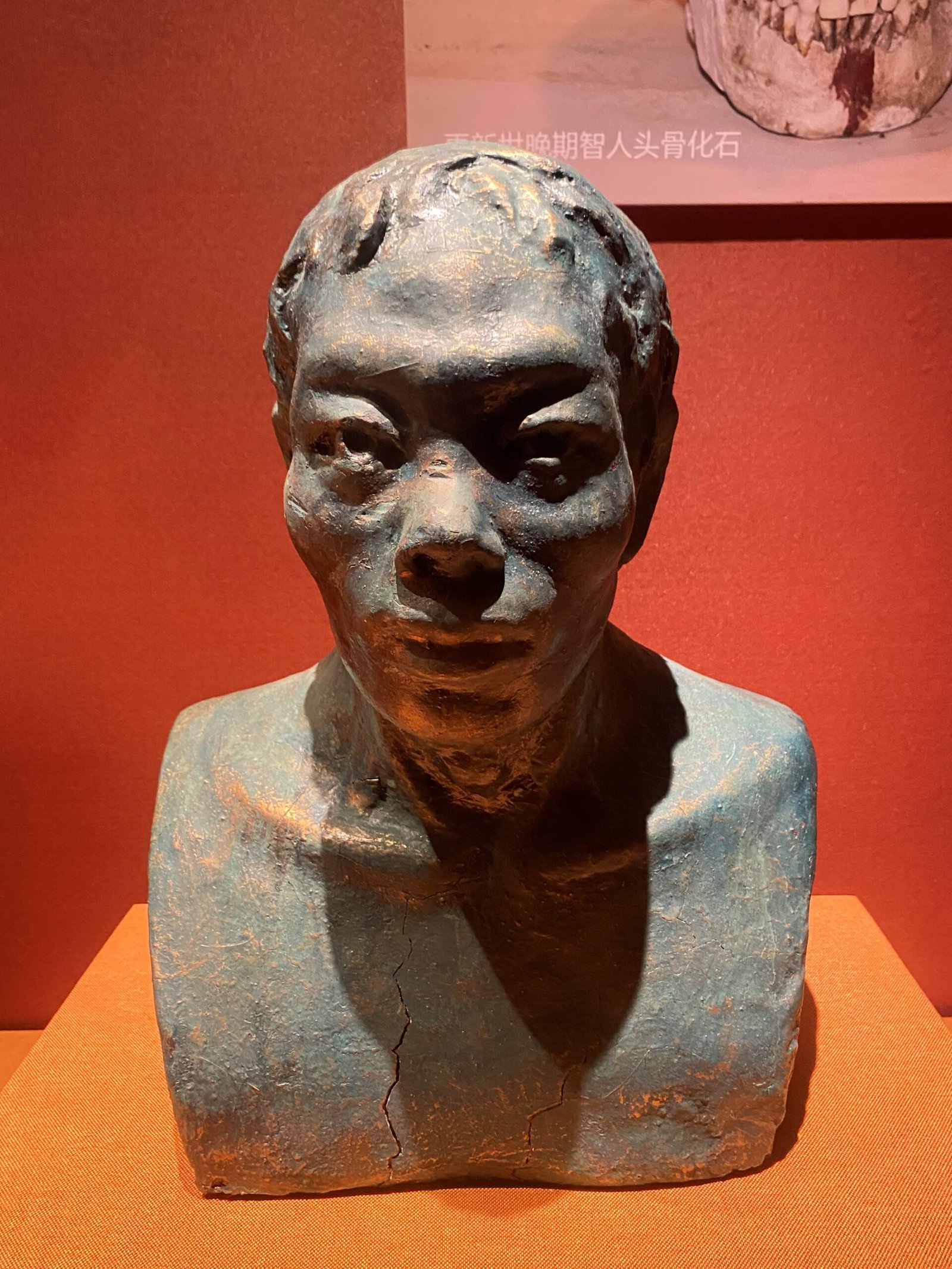 The Enigma of the Red Deer Cave People (image credits: wikimedia)