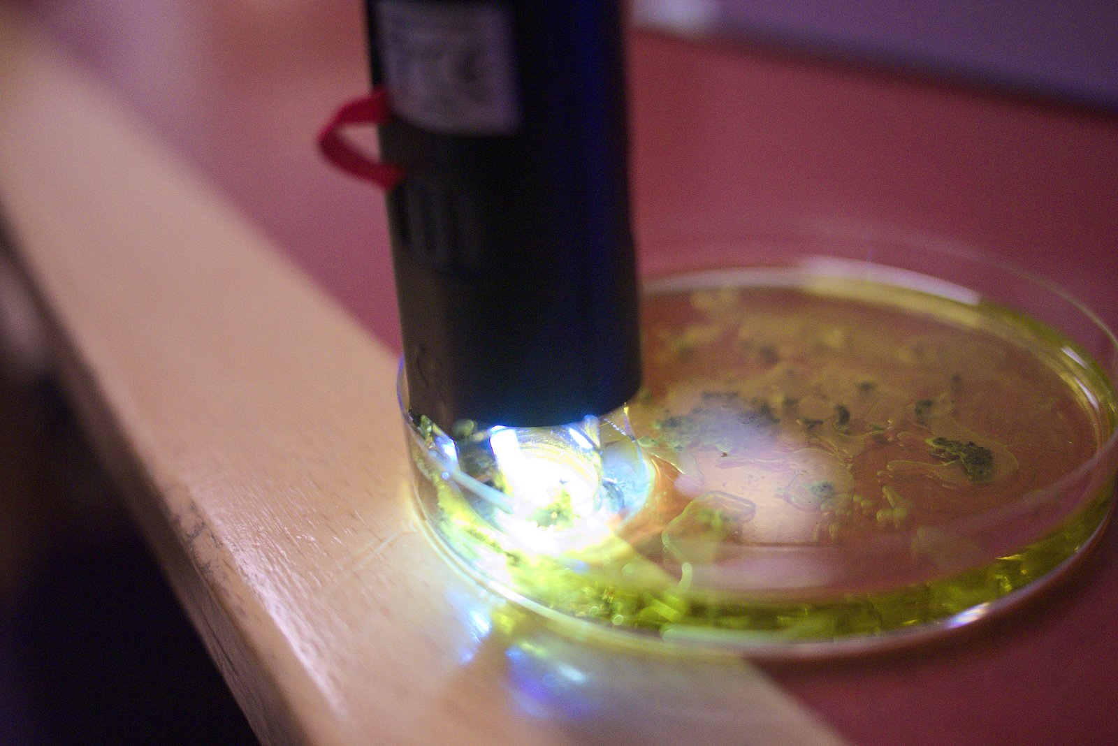 Challenges and Criticisms: The Road Ahead (image credits: wikimedia)