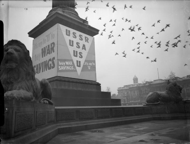 A Pigeon's Role in Wartime Communication (image credits: wikimedia)