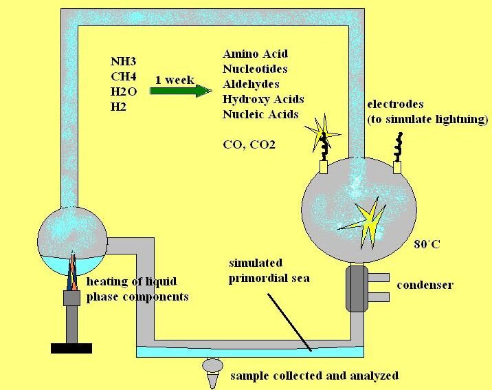 The Miller-Urey Experiment: A Spark of Genius