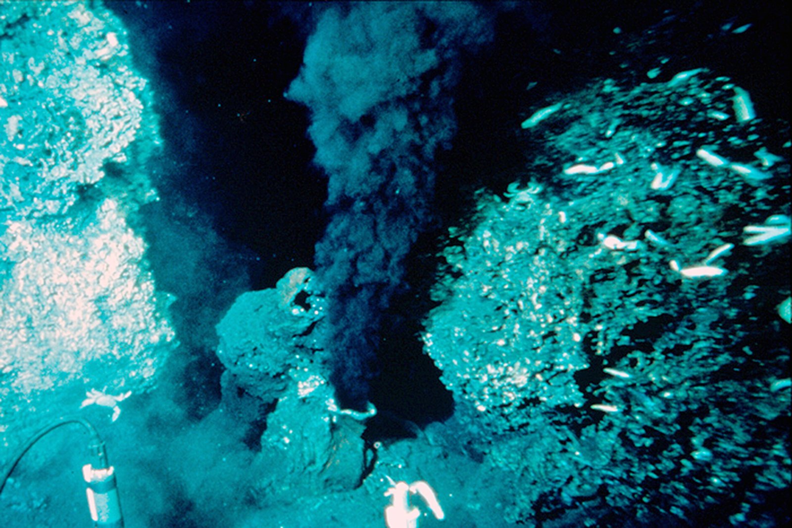 Simulating Ocean Vents: The Black Smoker Theory (image credits: wikimedia)