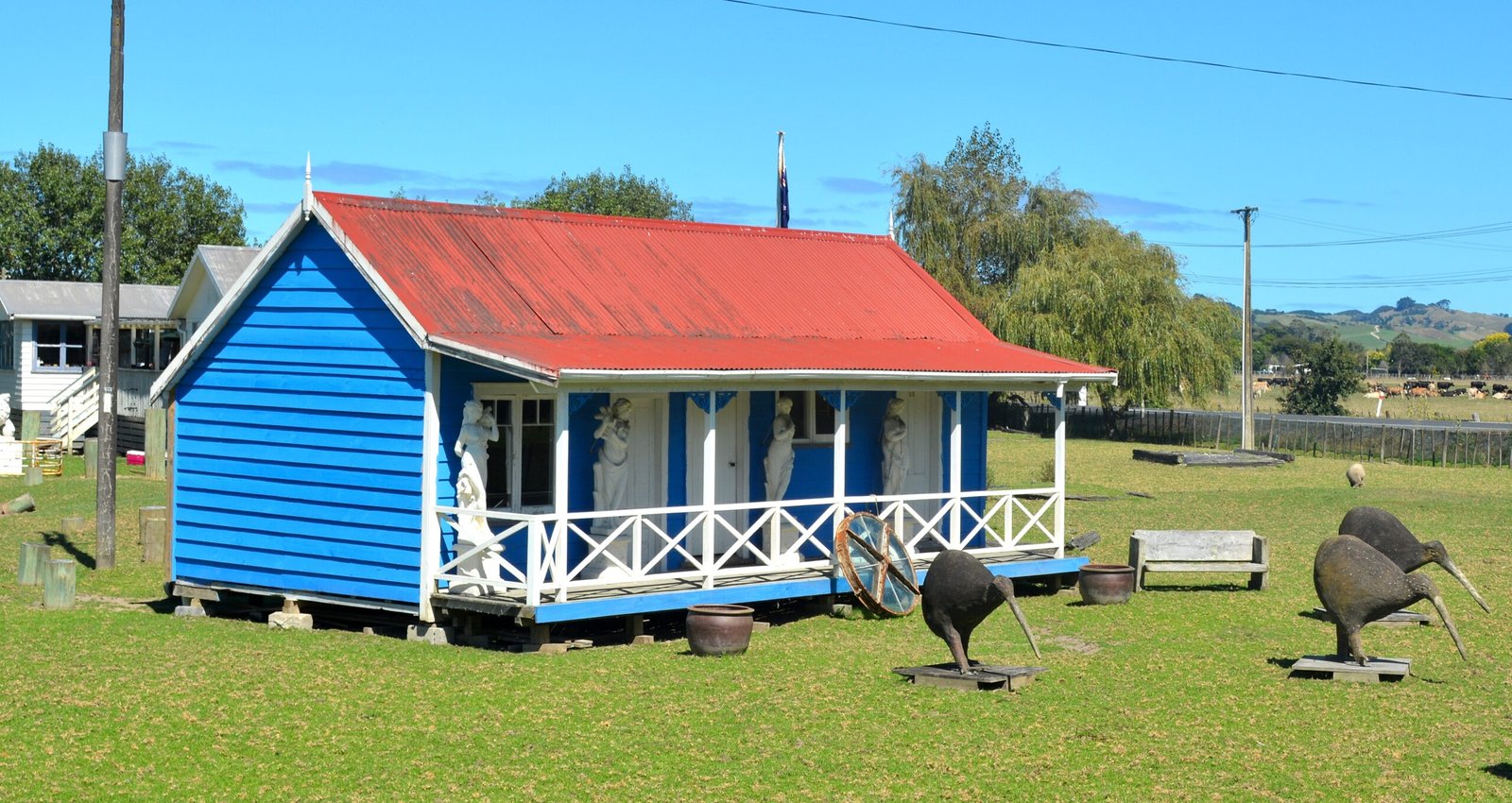 Lessons from Flightless Birds (image credits: wikimedia)