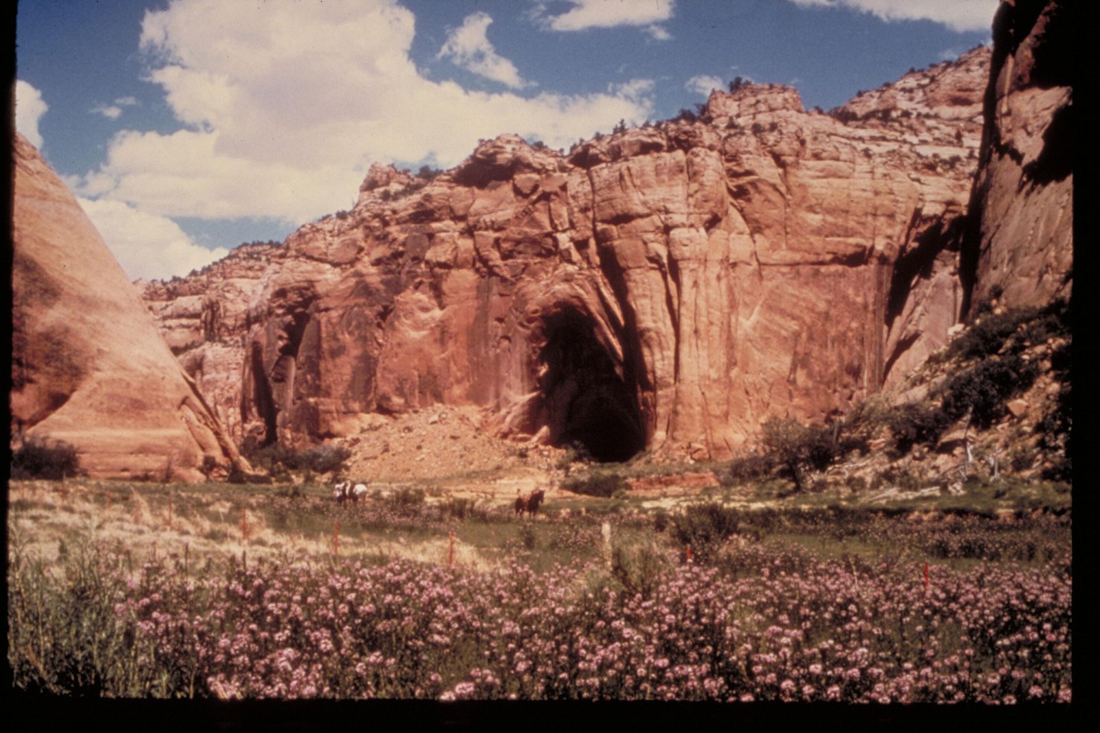 The Legacy of the Ancestral Puebloans (image credits: wikimedia)