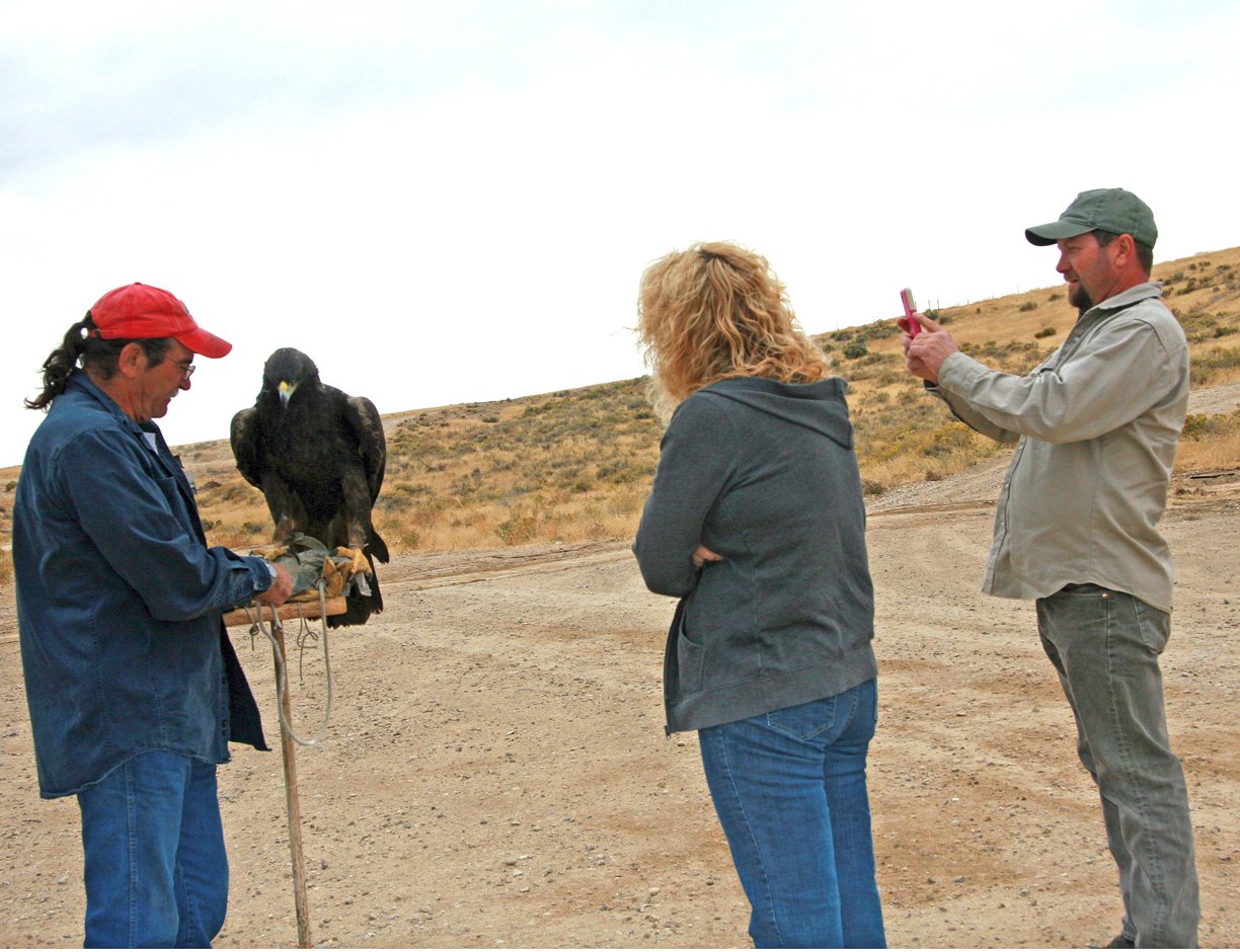 Challenges Facing Avian Farmers (image credits: wikimedia)