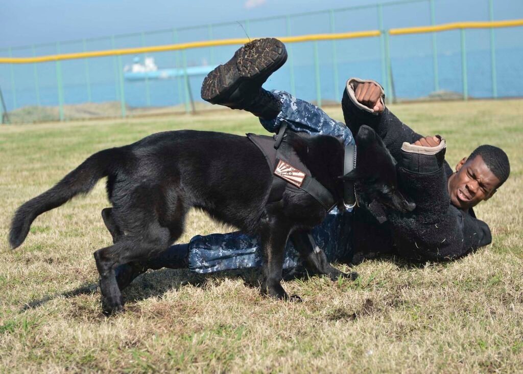 Training Tango for the Mission