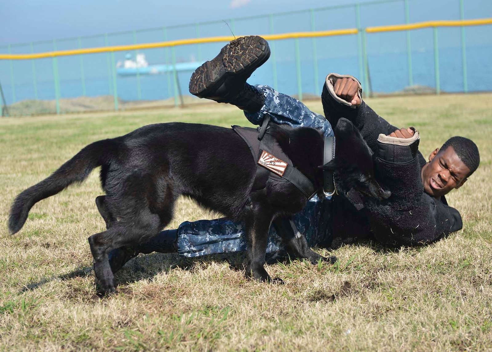 Training Tango for the Mission (image credits: wikimedia)