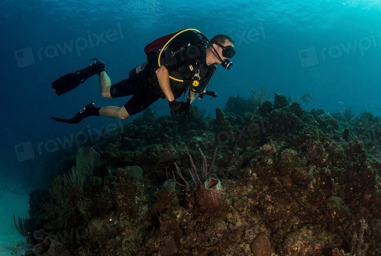 Tango's Remarkable Contributions to Ocean Exploration (image credits: rawpixel)