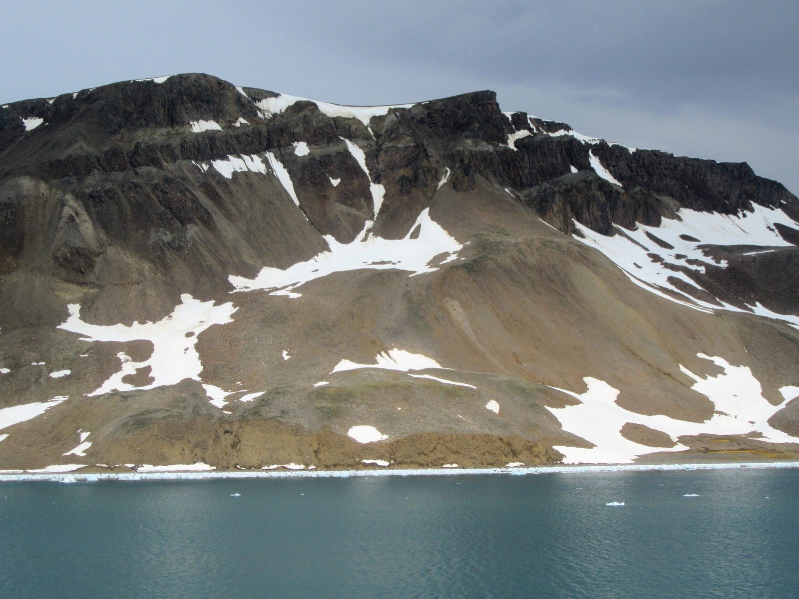 Desiccation Tolerance: Surviving Without Water (image credits: wikimedia)