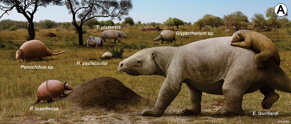 Meet the Megafauna: A Glimpse into Their World (image credits: wikimedia)