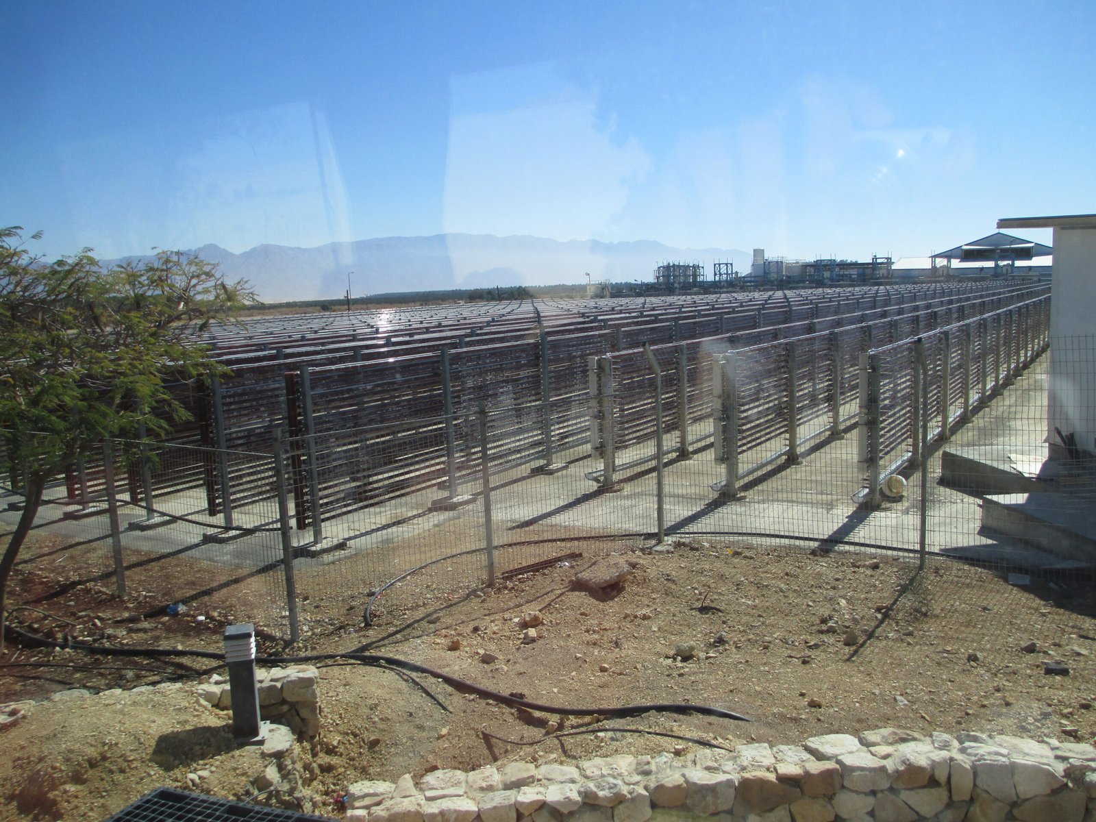 Innovations in Algae Technology (image credits: wikimedia)