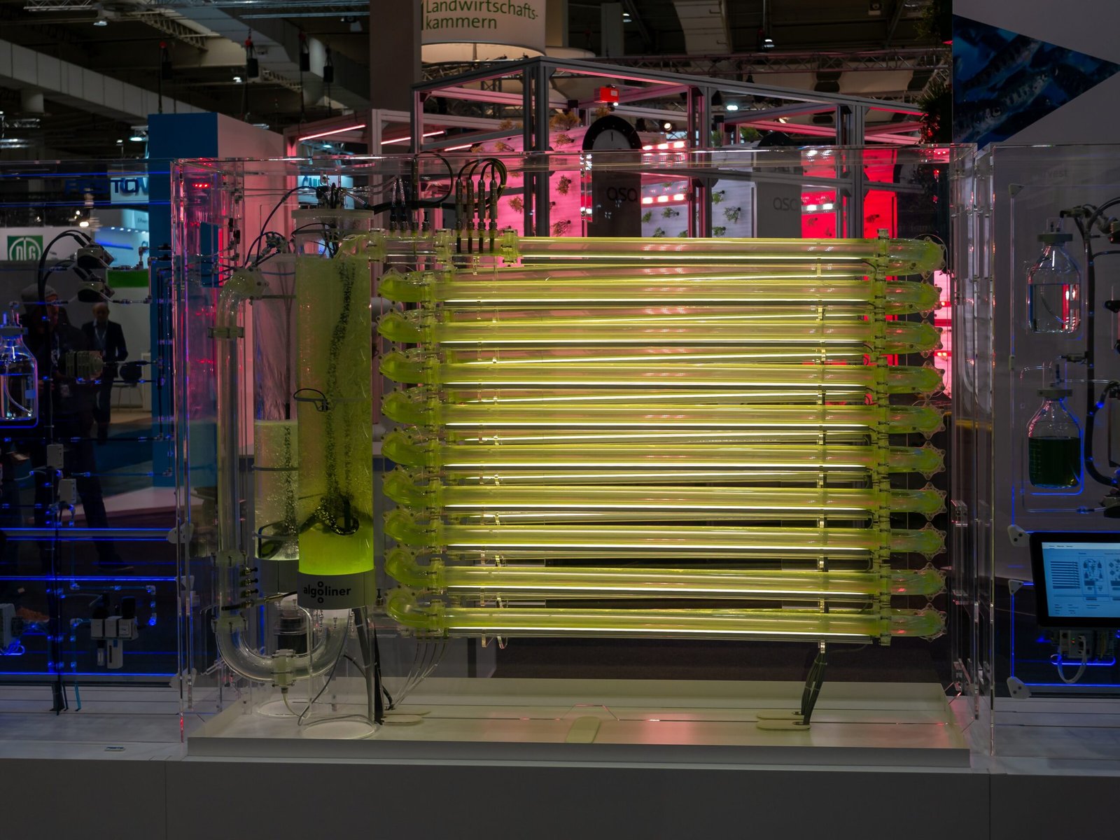 The Future of Algae Farming (image credits: wikimedia)