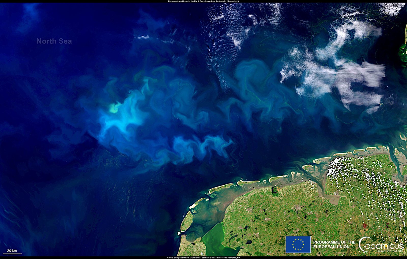 The Ongoing Dance of Oxygen and Life (image credits: wikimedia)