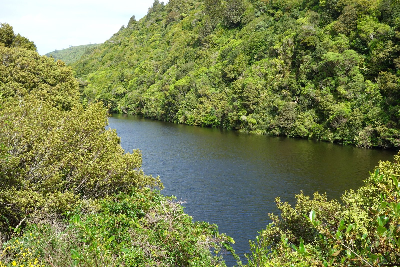 The Future of Zealandia Exploration (image credits: wikimedia)