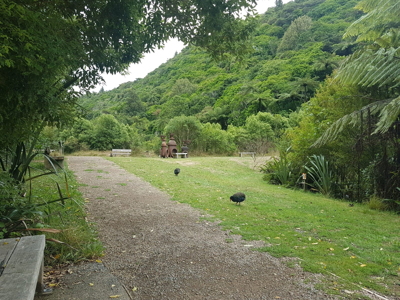 Conclusion: The Legacy of Zealandia (image credits: wikimedia)