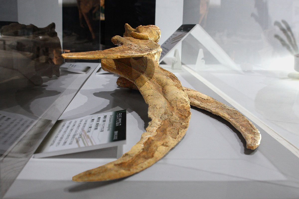 The Double-Clawed Therizinosaurus (image credits: wikimedia)