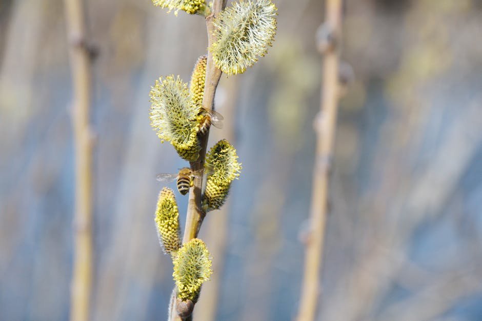 Understanding Clonal Reproduction (image credits: pexels)