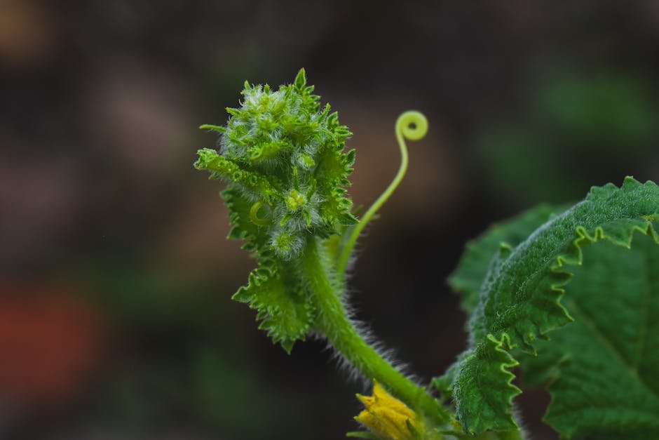 The Interconnectedness of Ecosystems (image credits: pexels)