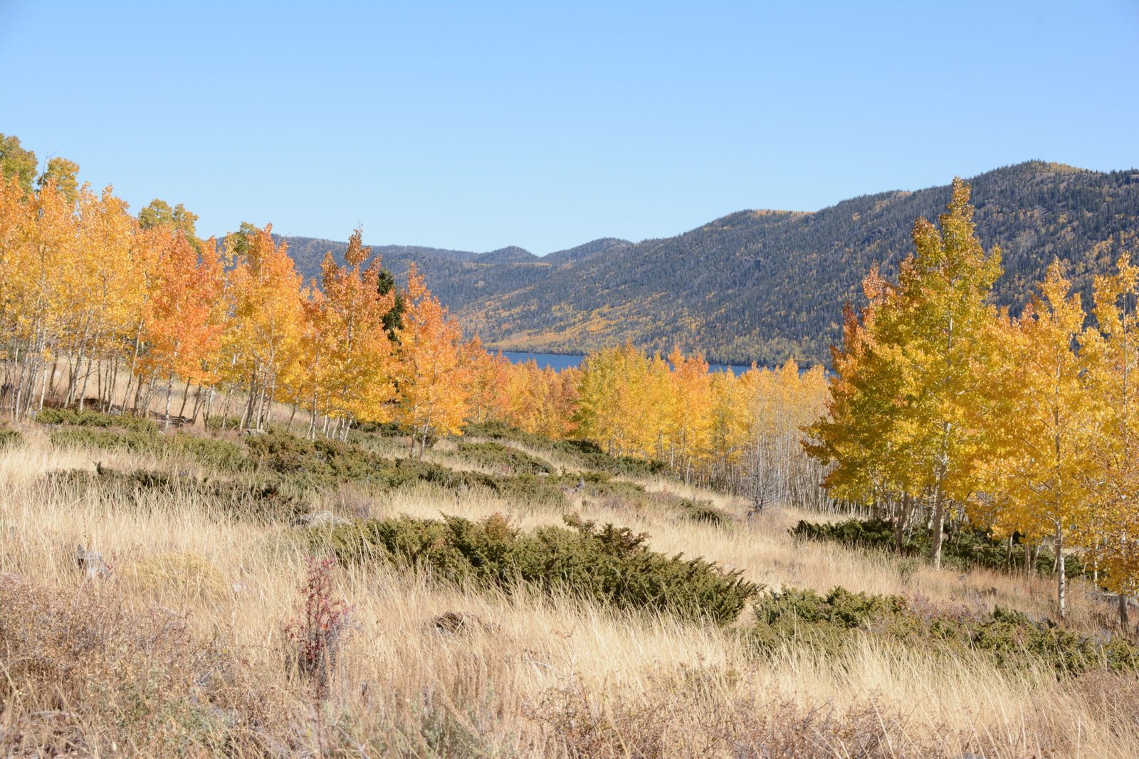 Lessons from the Past (image credits: wikimedia)