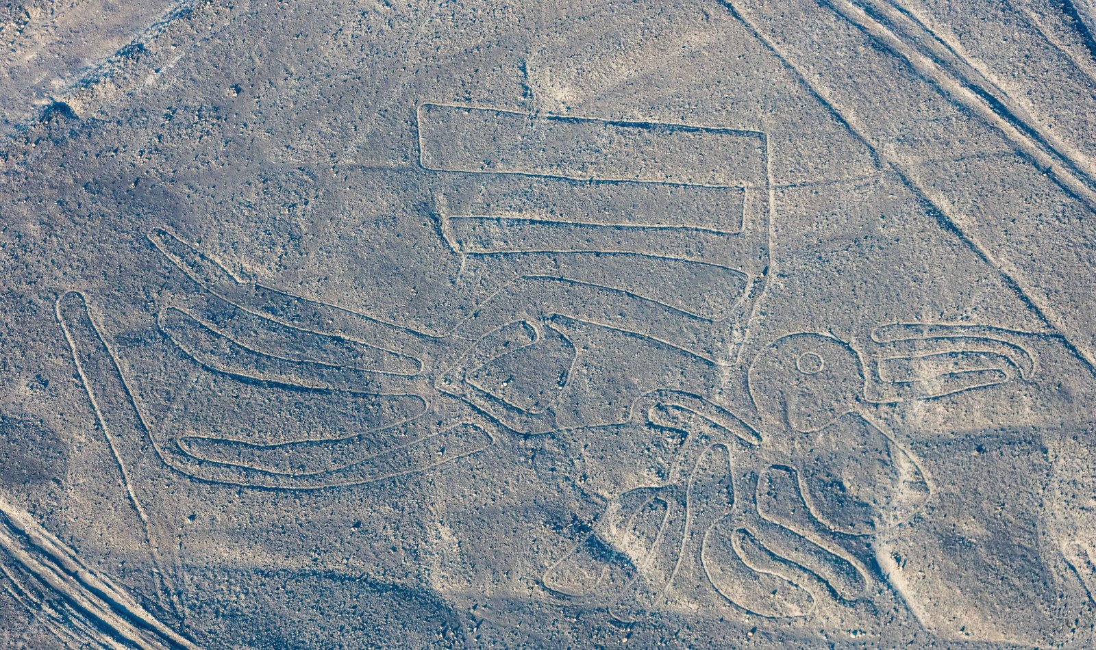 The Nazca Lines: Messages from the Past (image credits: wikimedia)