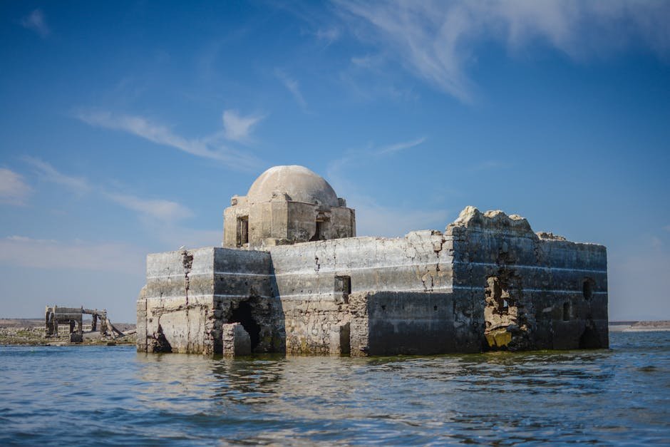 Environmental Changes and Human Impact (image credits: pexels)