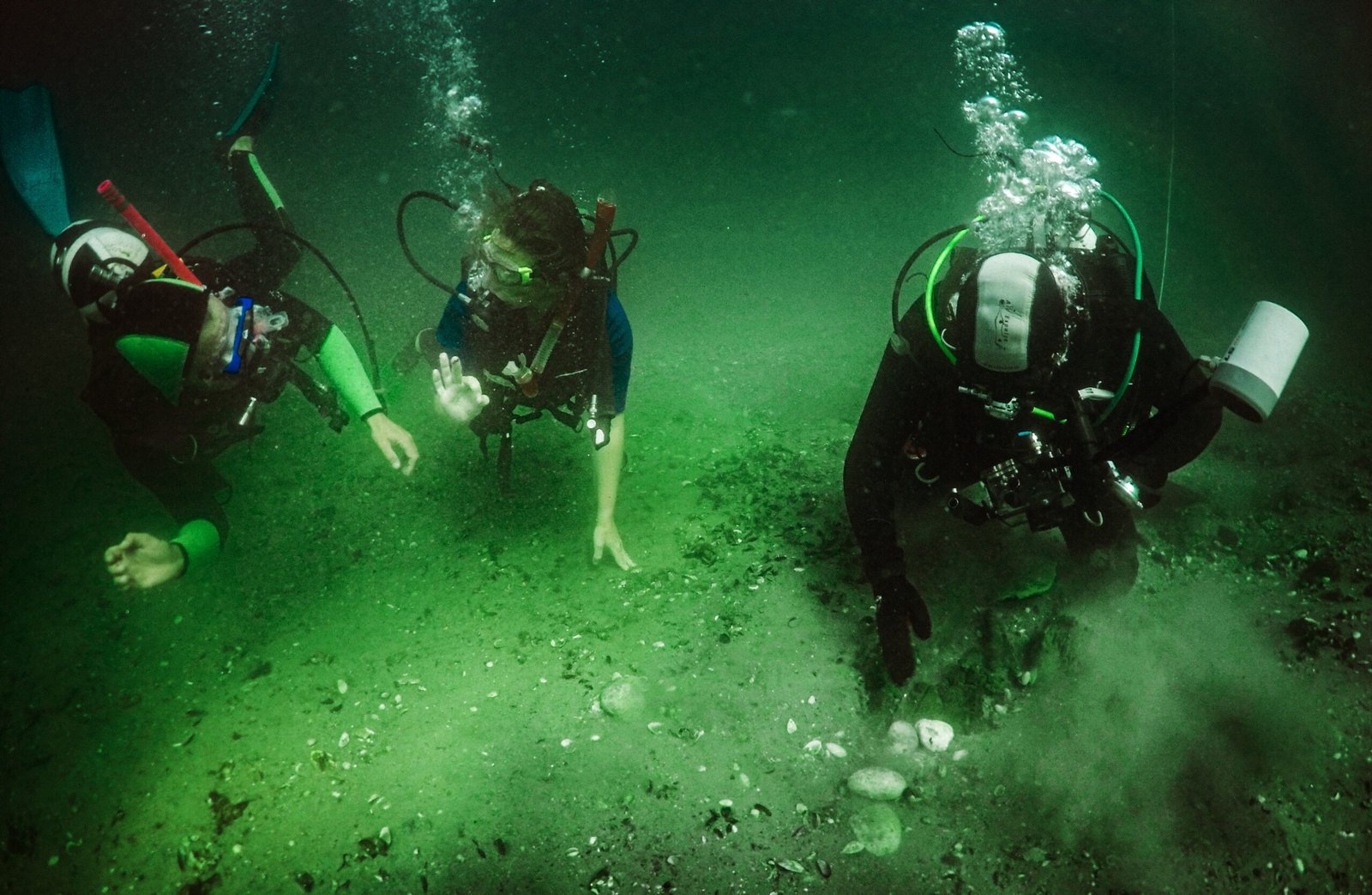 Zombie Microbes Awakened From 100-Million-Year Sleep Under the Seafloor