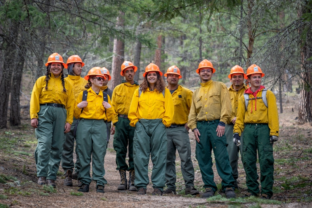 Defense Mechanisms: Trees on Guard (image credits: rawpixel)