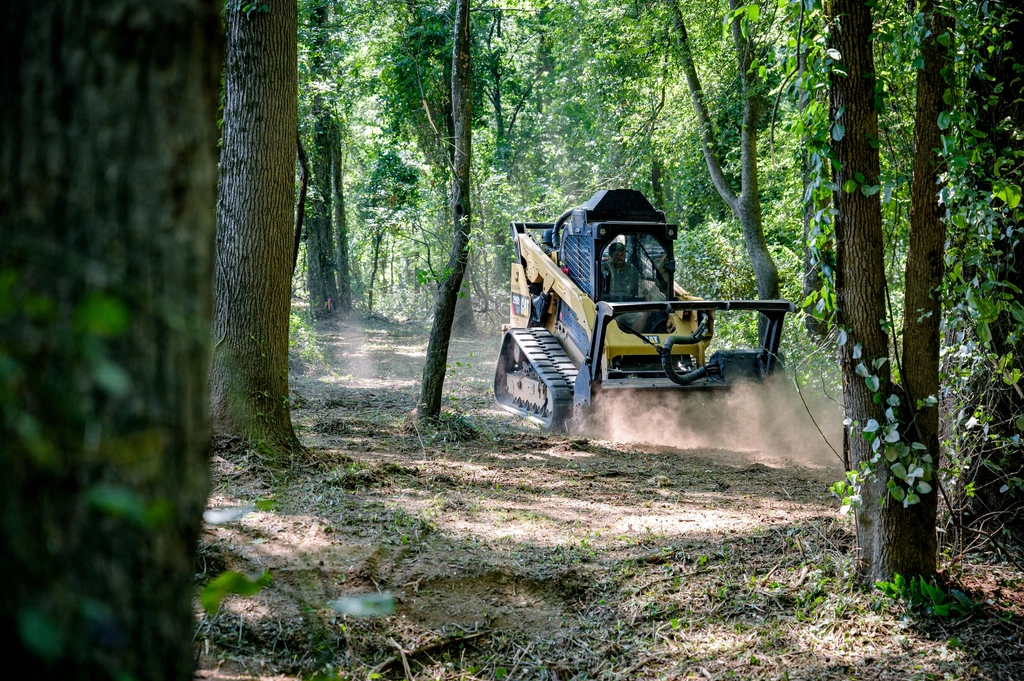 Human Implications: Lessons from the Forest (image credits: rawpixel)