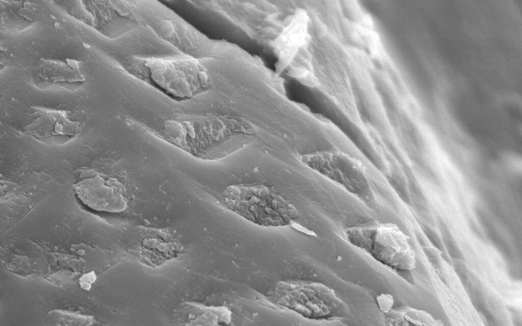 Current Research and Experiments