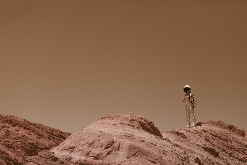 Potential Environmental Impact (image credits: pexels)