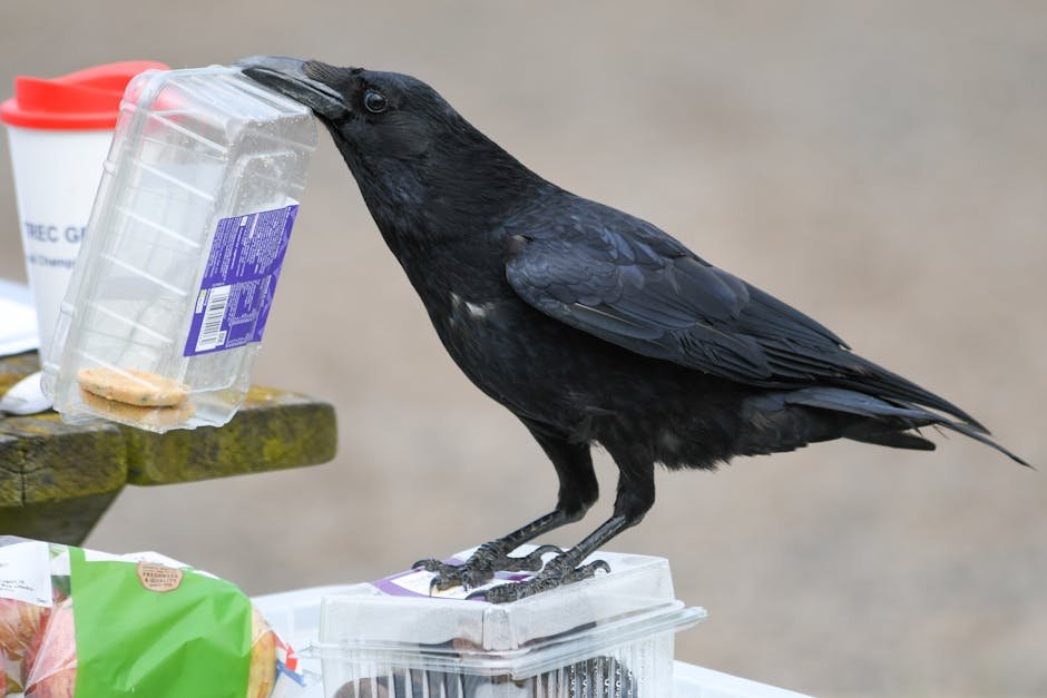 Understanding the Science Behind Avian Intelligence (image credits: pexels)