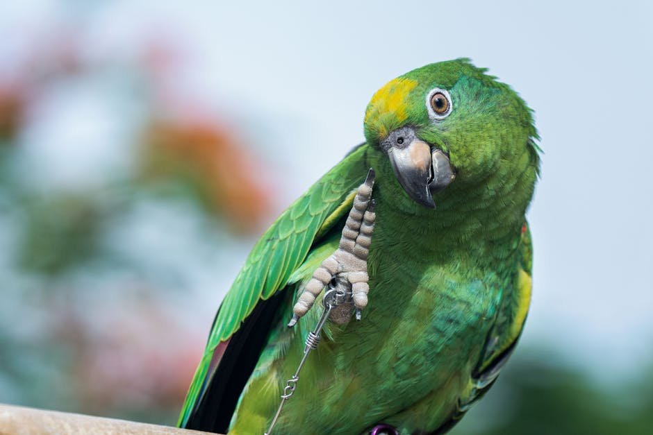Rethinking the Hierarchy of Intelligence (image credits: pexels)
