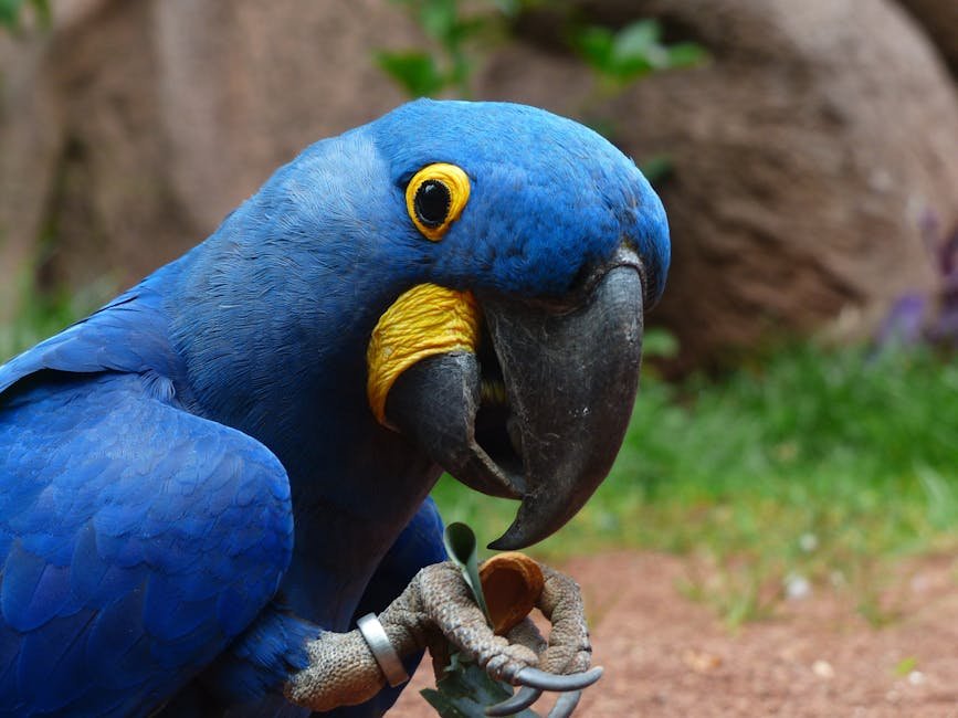 Changing Perceptions and Inspiring Wonder (image credits: pexels)