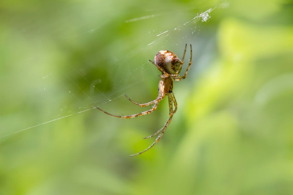 The Unlikely Partnership (image credits: pexels)