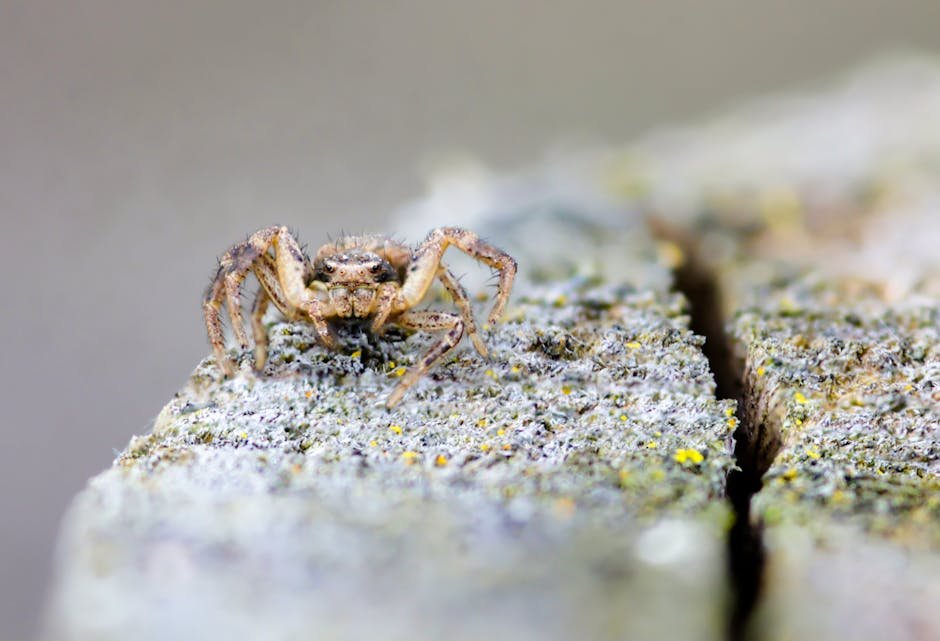 Evolutionary Insights (image credits: pexels)