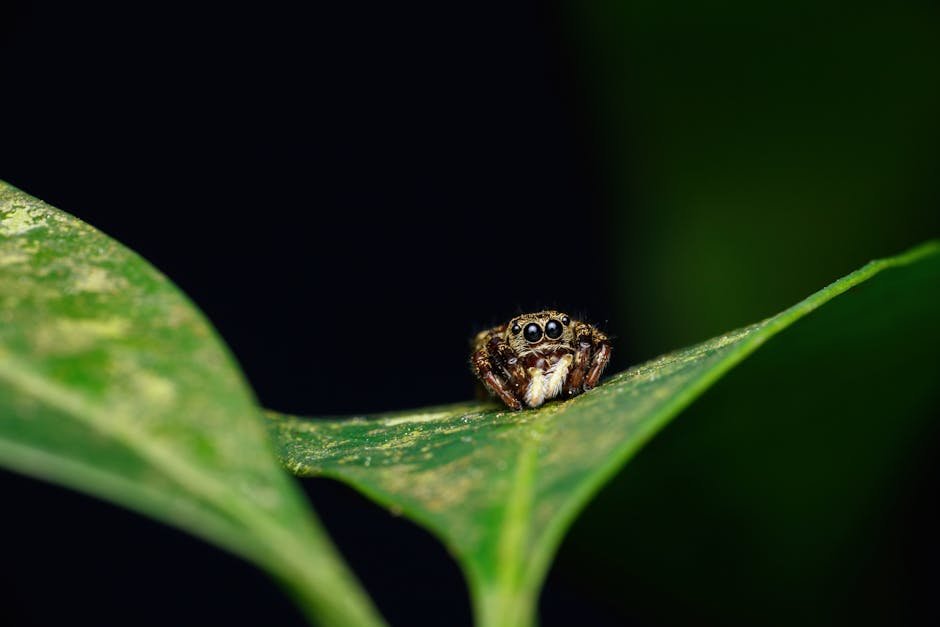 Lessons from Nature (image credits: pexels)