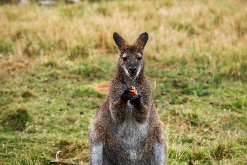 Dietary Changes: A Shift in Palate (image credits: pexels)