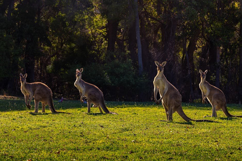 Social Dynamics: Strengthening Group Bonds (image credits: pexels)
