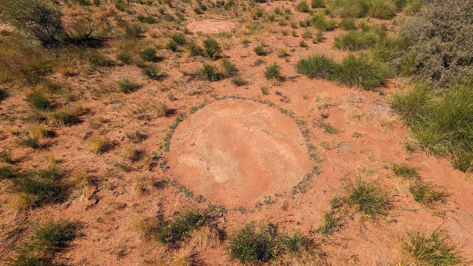 Conclusion (image credits: wikimedia)