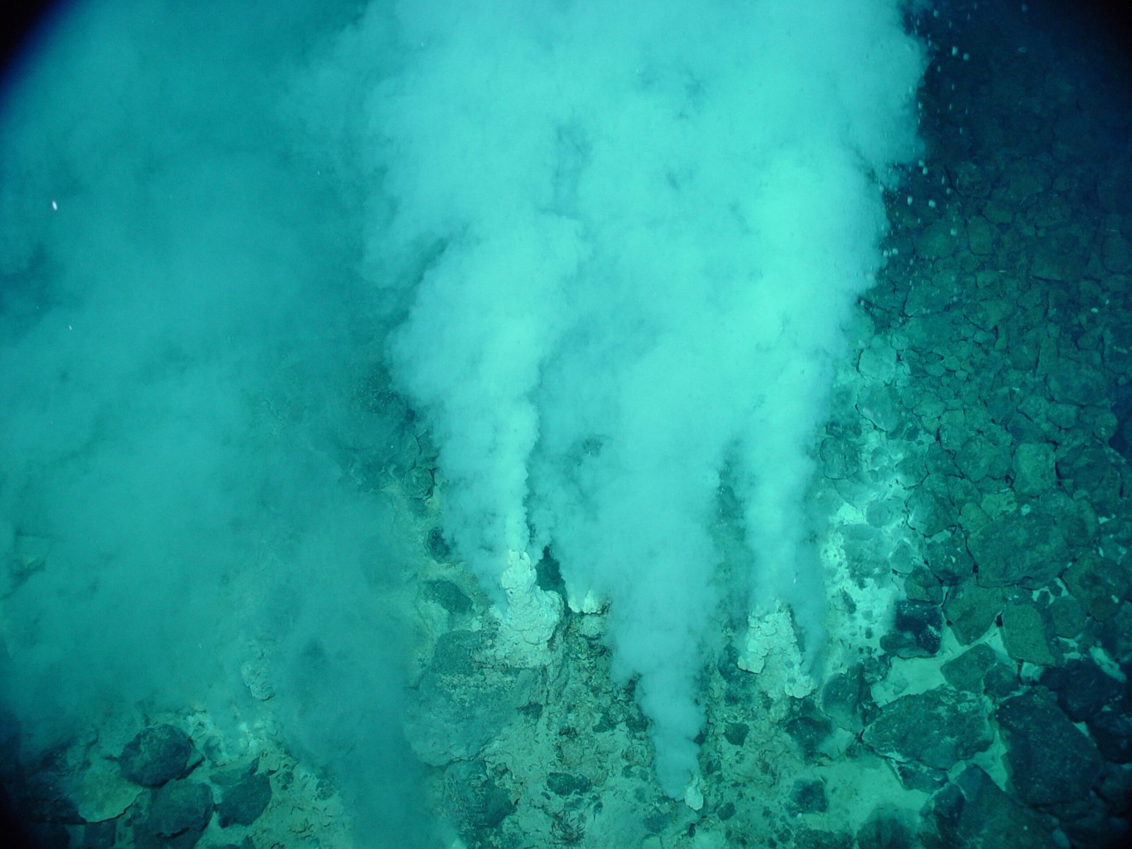 Abiogenesis: Life from Non-Life (image credits: wikimedia)