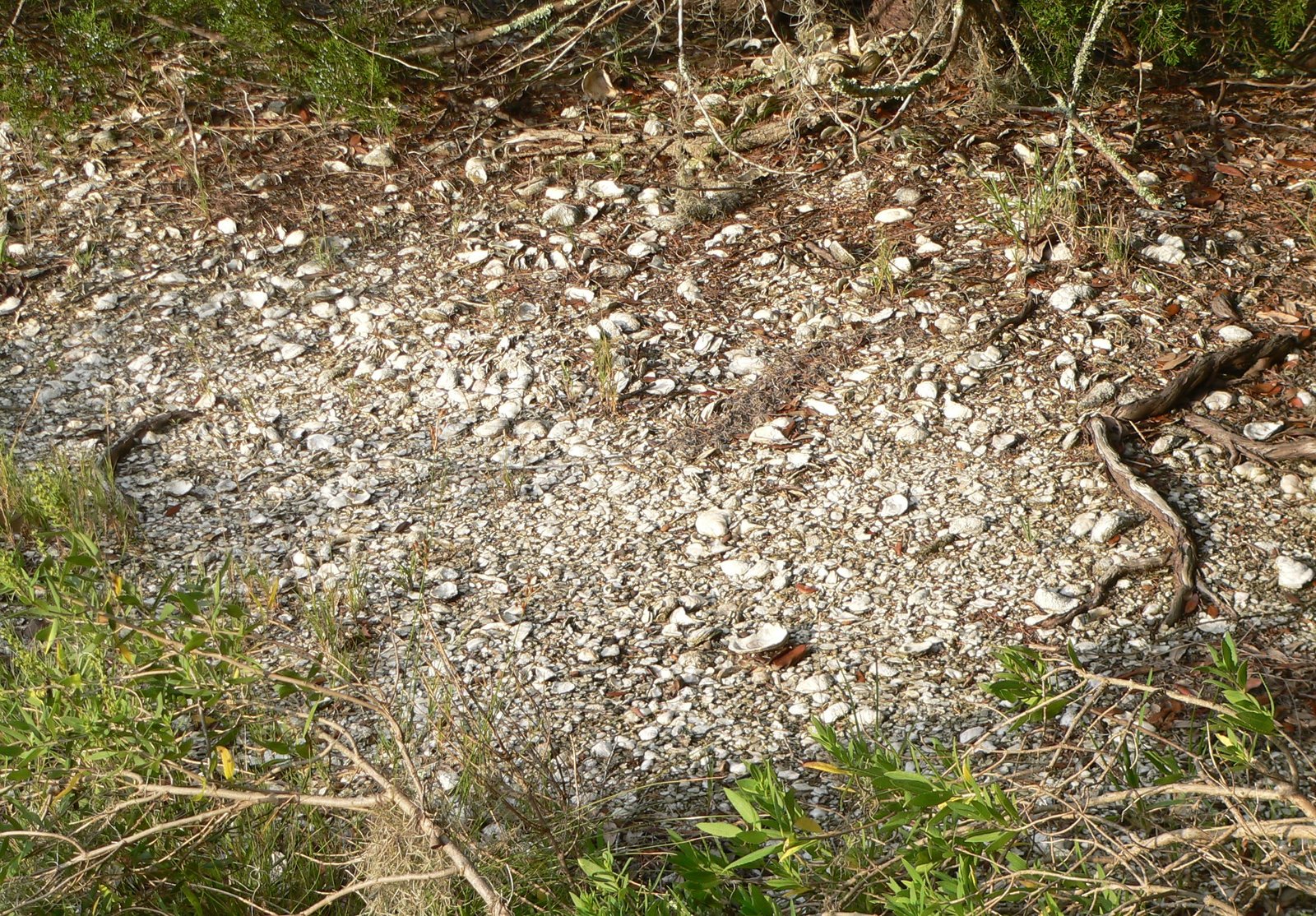 A Glimpse into Ancient Societies (image credits: wikimedia)