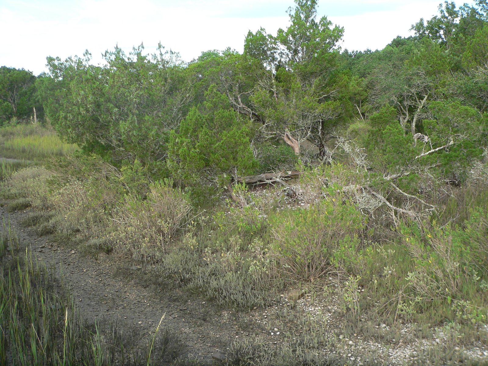 Construction and Composition (image credits: wikimedia)