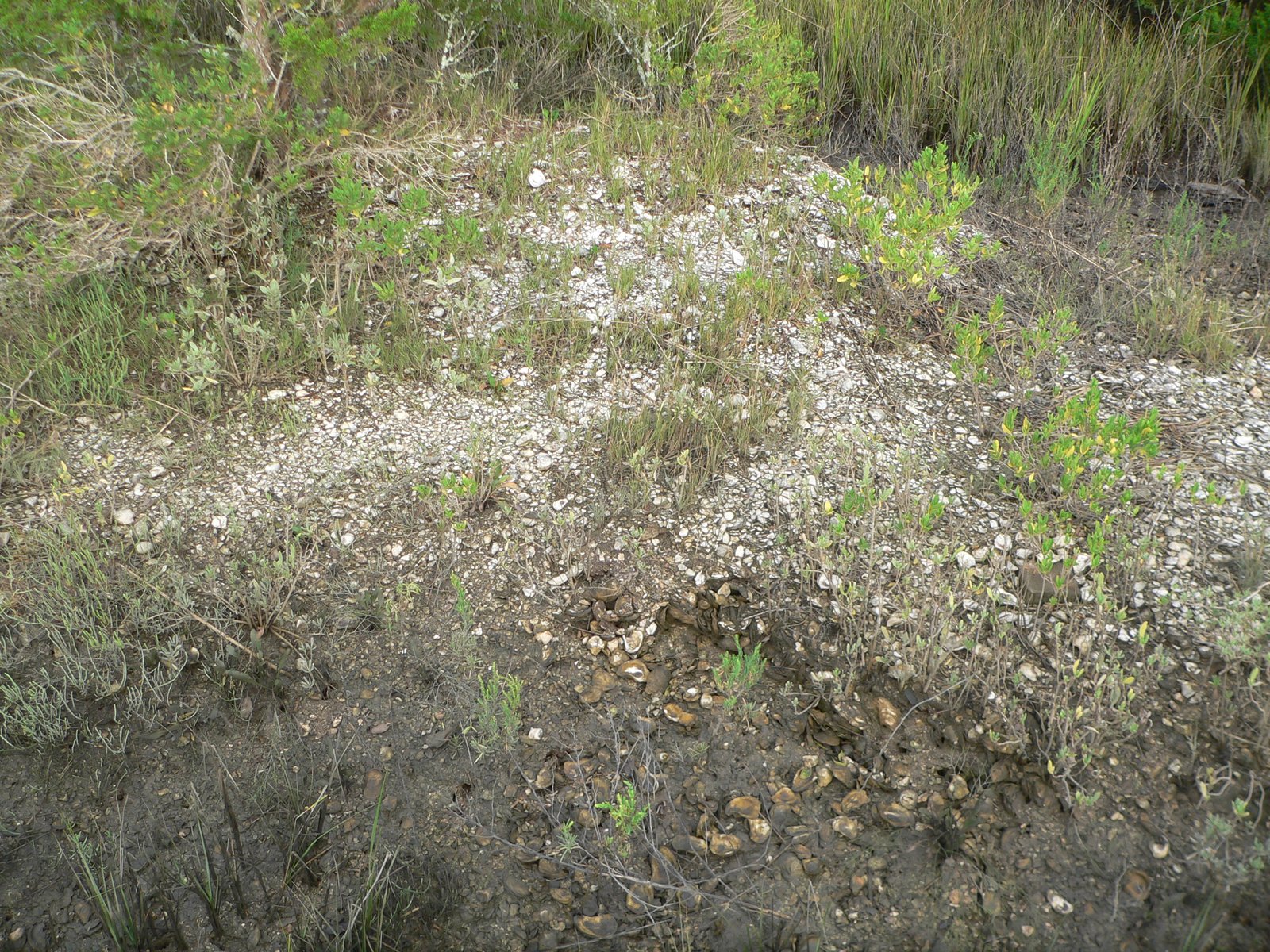 Archaeological Discoveries (image credits: wikimedia)